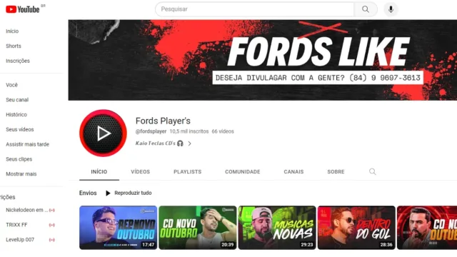 Canal do youtube Fords Player’s com mais de 10k inscritos