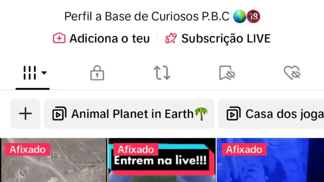 Screenshot_20231013_160359_TikTok