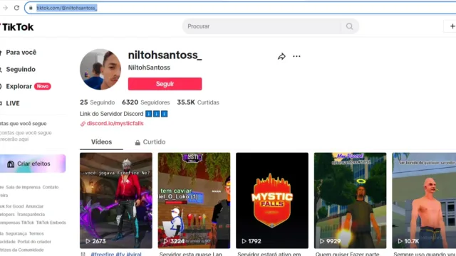 TikTok engajado (Nicho Games) raridade * 6320 seguidores + de 35.5k de curtidas