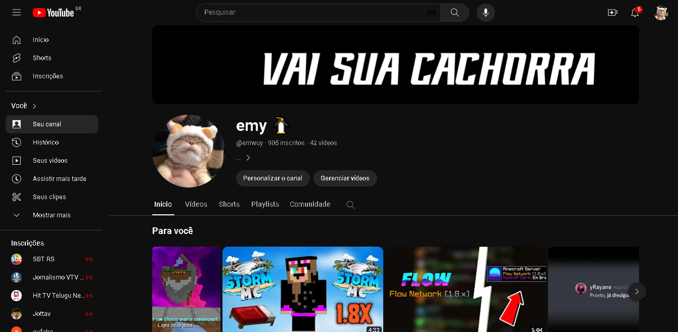 CANAL YOUTUBE COM 905 INSCRITOS, NÃO MONETIZADO